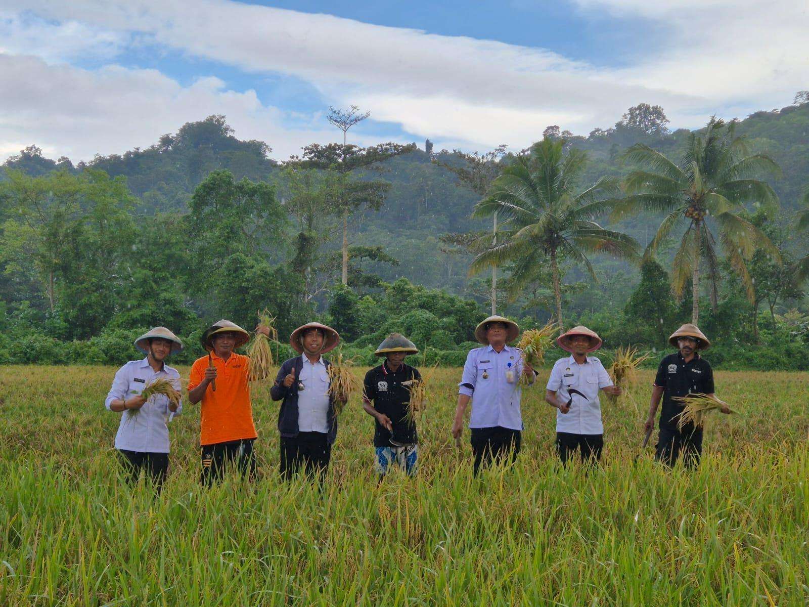 Lapas Baubau