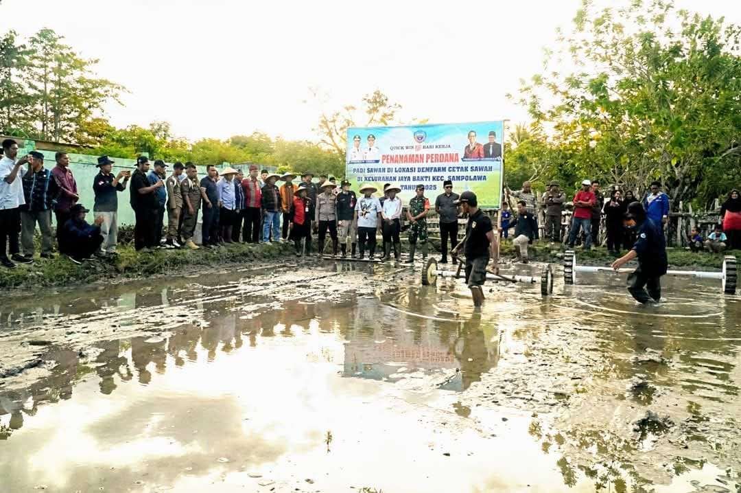 Wujudkan Swasembada Pemkab Busel Tanam Padi Sawah