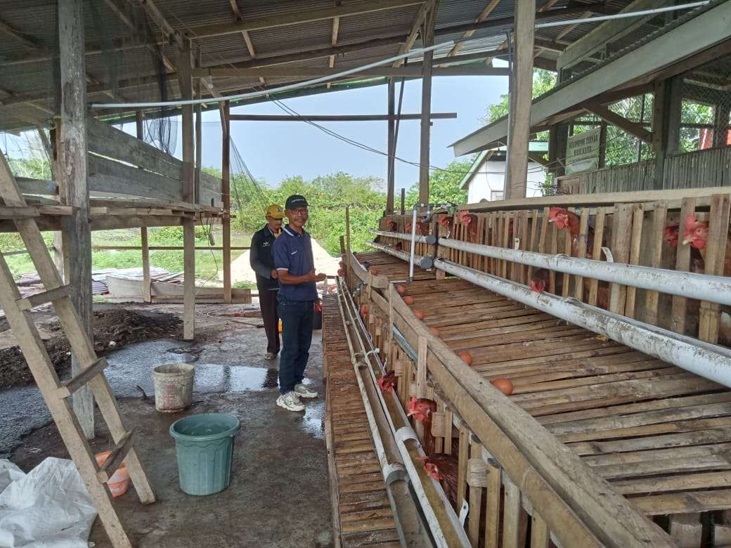 Buteng Dorong Peternak