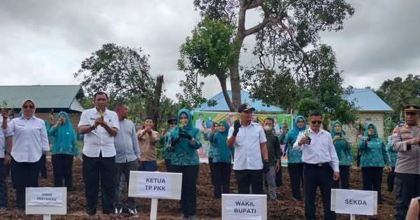Gerakan Tanam Cabai Serentak di Butur Resmi Dimulai